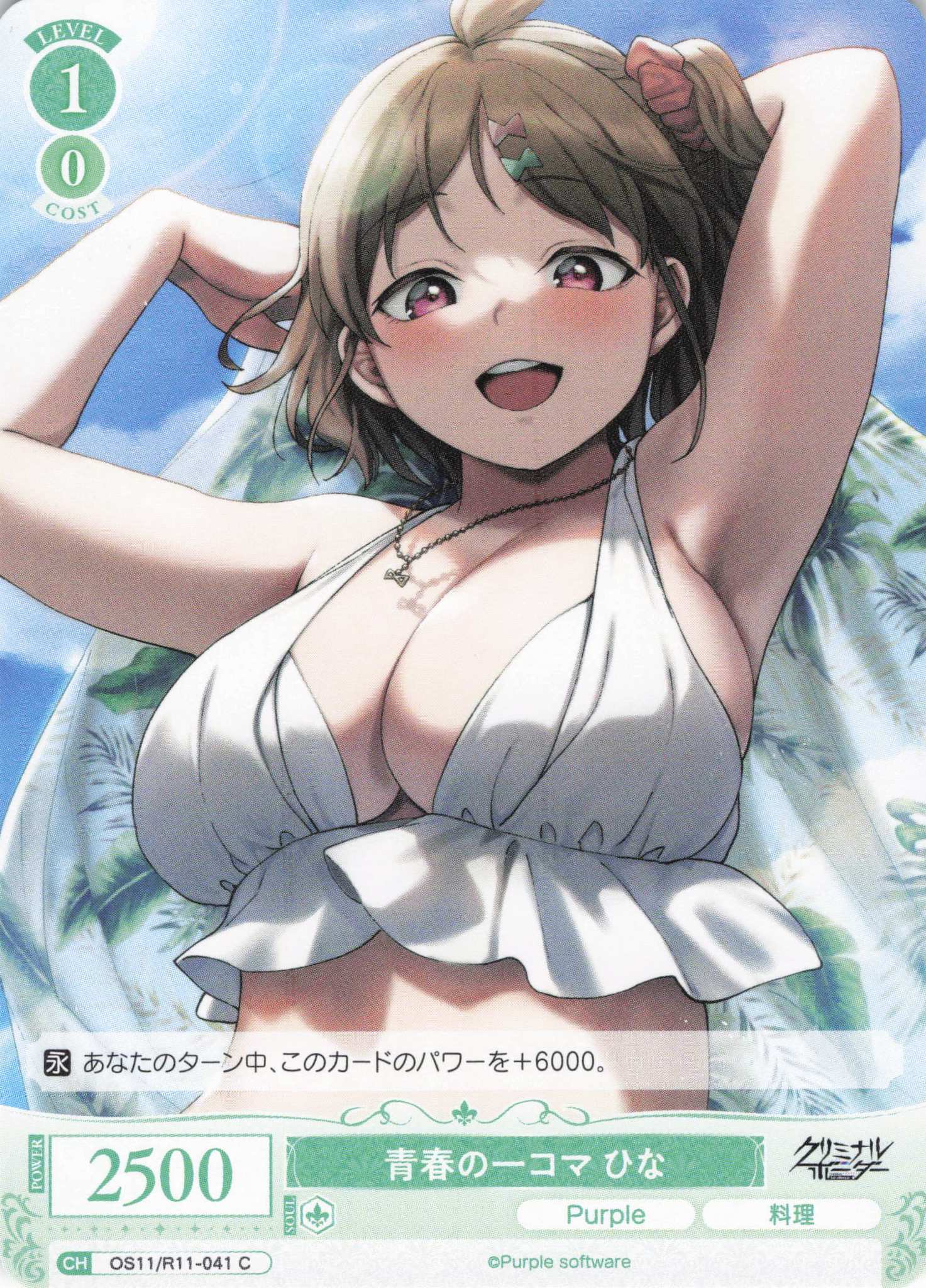 青春の一コマ ひな(C)(OS11/R11-041)